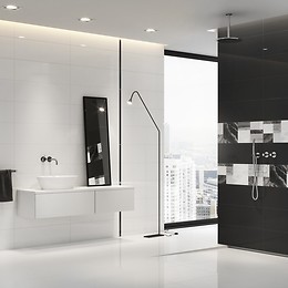 A monochrome bathroom 7