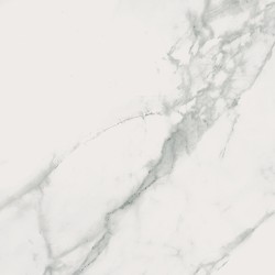 Calacatta Marble White Polished Rect