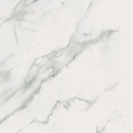 Calacatta Marble White Polished Rect