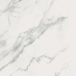 Calacatta Marble White Polished Rect