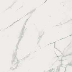 Calacatta Marble White Polished Rect