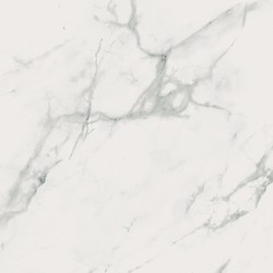 Calacatta Marble White Polished Rect