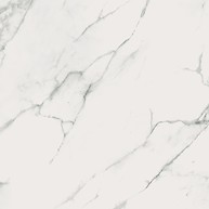 Calacatta Marble White Polished Rect