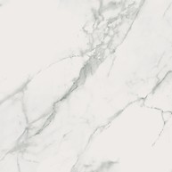 Calacatta Marble White Polished Matt Rect