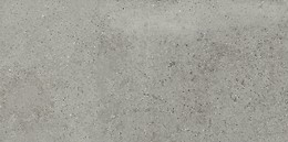 Gigant Silvergrey