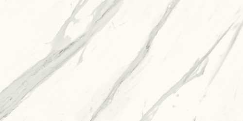 Calacatta Gold Matt Rect