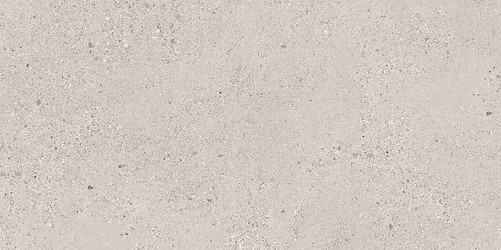 SMALL TERRAZZO STONE COLD GREY MATT RECT 59,8X119,8 G1