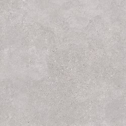 EARTHTONE 2.0 GREY MATT RECT 59,3X59,3 G1