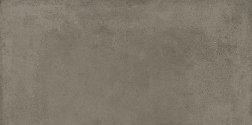 FOGGY NIGHT TAUPE MATT 29,8X59,8 G1