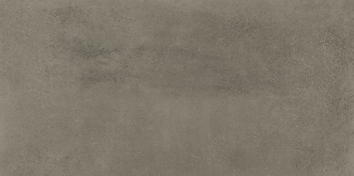 FOGGY NIGHT TAUPE MATT 29,8X59,8 G1