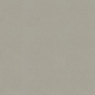 Moondust Light Grey Polished